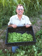 Pocatello CSA