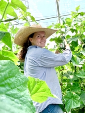 Swore Farms Cucumbers