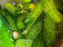 Cucumbers