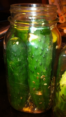 Dill pickles