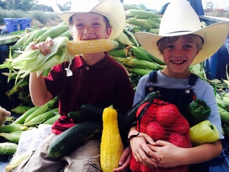 Swore Farms, Pocatello Sweet Corn, Pocatello CSA, Pocatello Local produce, Pocatello Farm