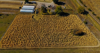 Swore Farms, Pocatello Corn Maze