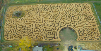 Swore Farms, Pocatello Corn Maze